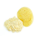 VITAMIN C BUNDLE